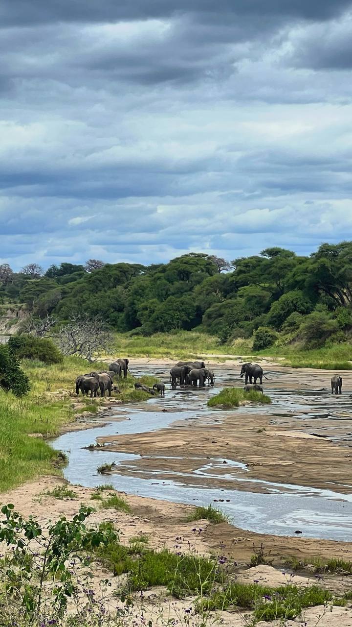 Совсем не то, что в зоопарке. Источник: личный архив Марии Аккужиной