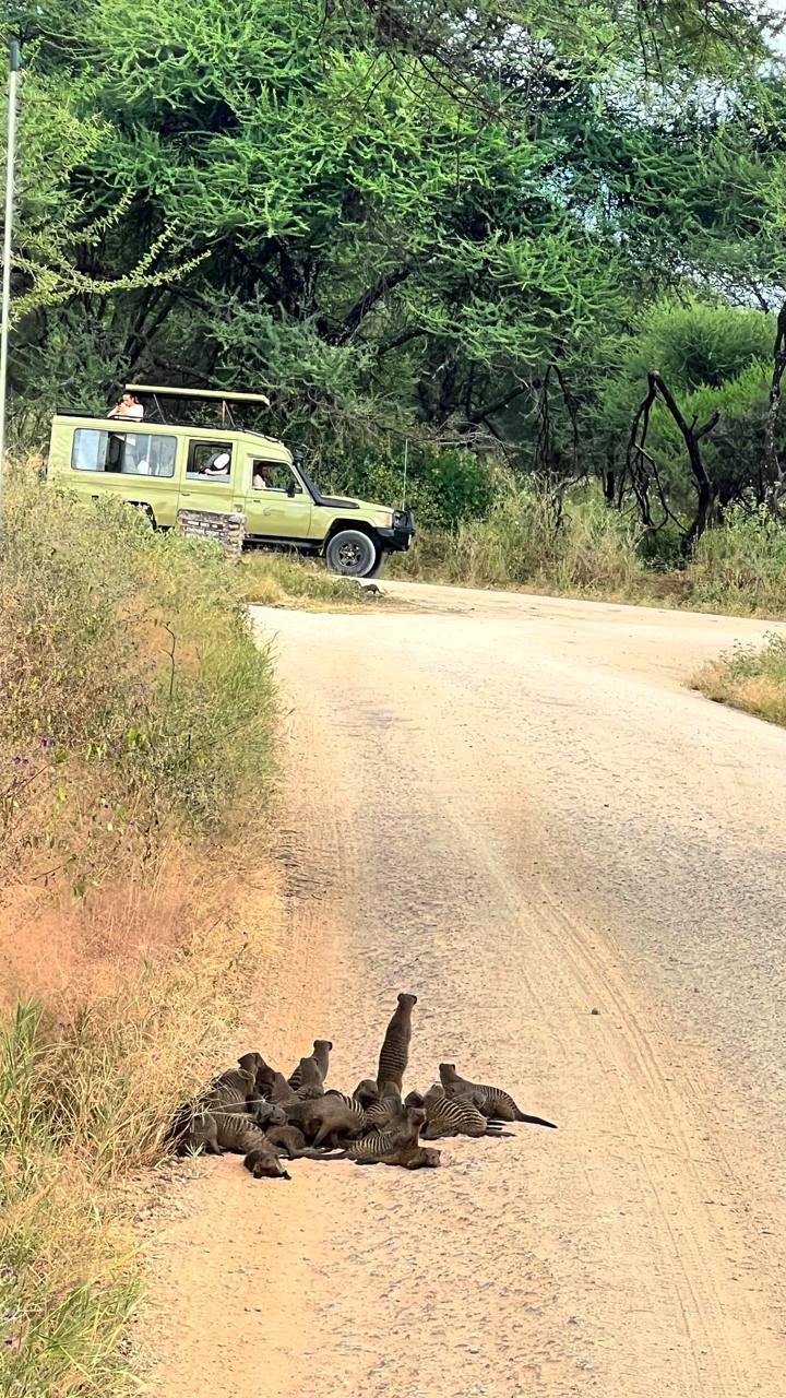 Совсем не то, что в зоопарке. Источник: личный архив Марии Аккужиной