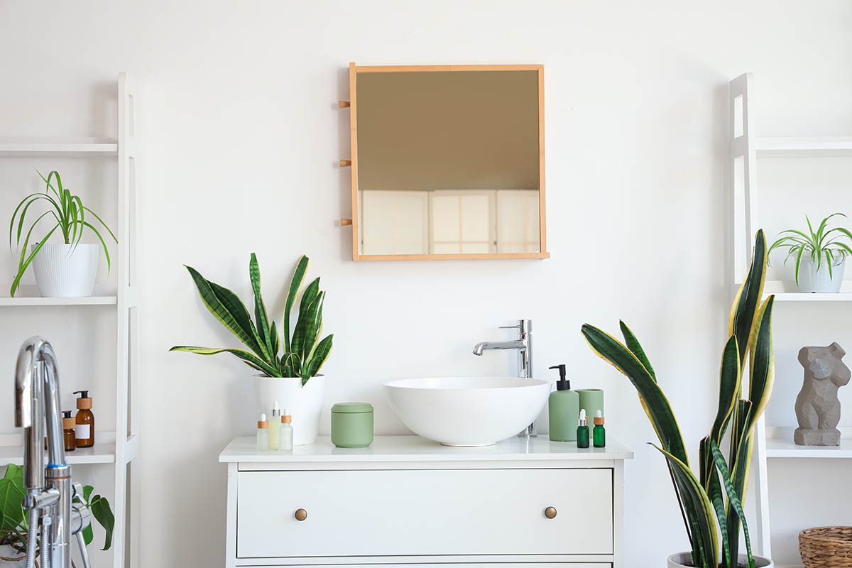 Растения — простой способ сделать пространство уютным. Источник: Pixel-Shot / Shutterstock / FOTODOM