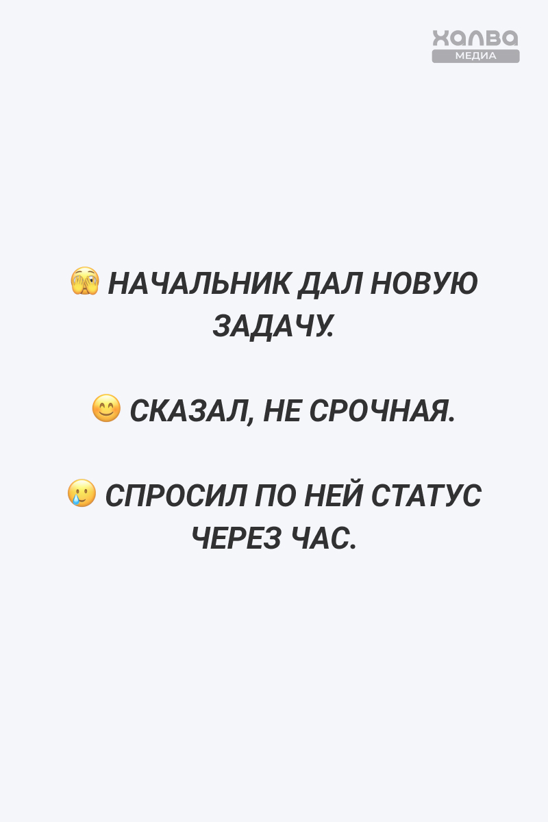 ...чайка-менеджеров… Источник: нейросеть