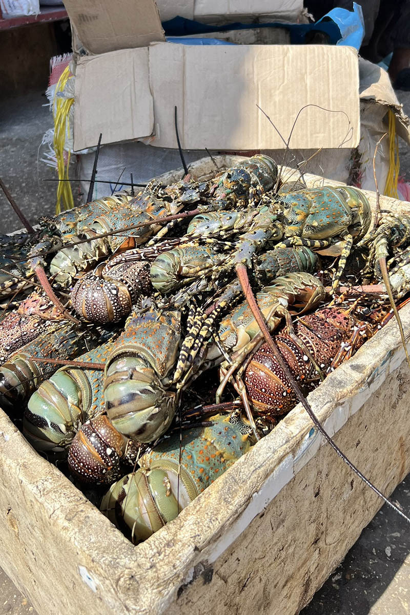 Даже если ничего не купите, цвета и ароматы не оставят вас равнодушными. Источник: личный архив Марии Аккужиной
