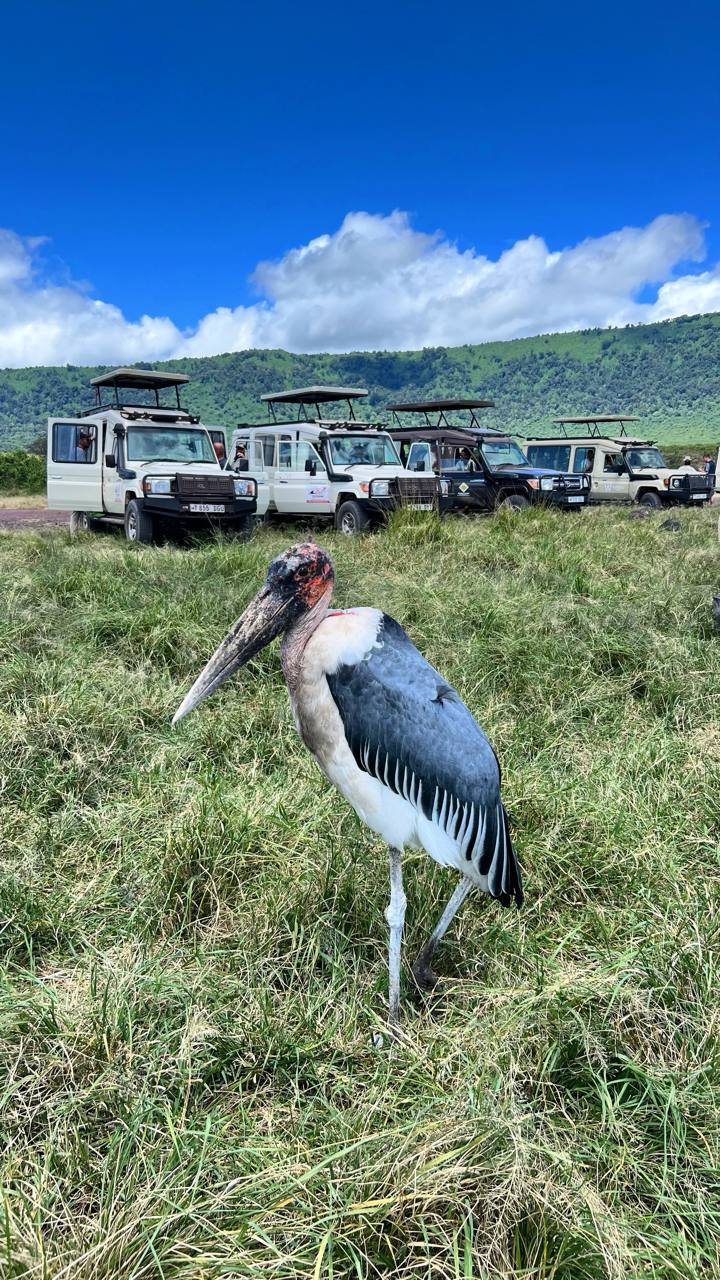 Совсем не то, что в зоопарке. Источник: личный архив Марии Аккужиной
