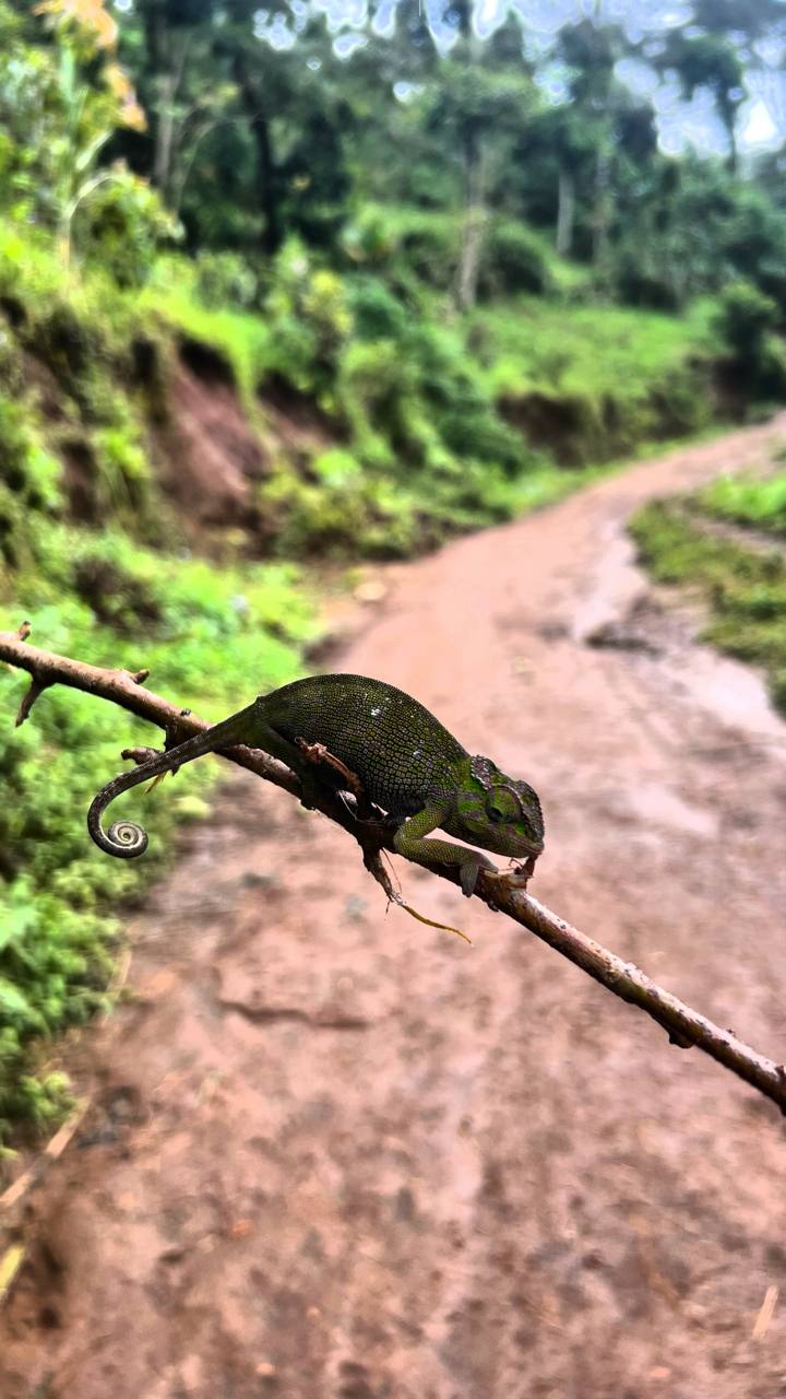 Совсем не то, что в зоопарке. Источник: личный архив Марии Аккужиной