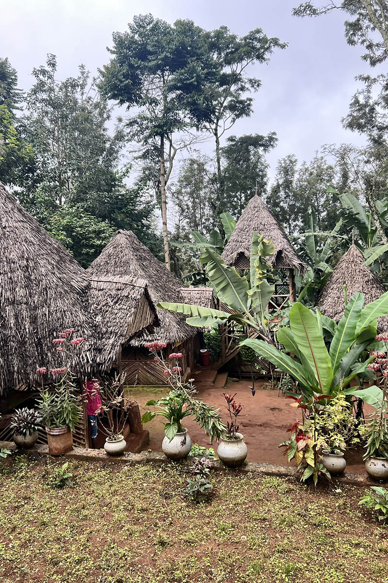 Деревня чагга — жителей подножья Килиманджаро. Источник: личный архив Марии Аккужиной