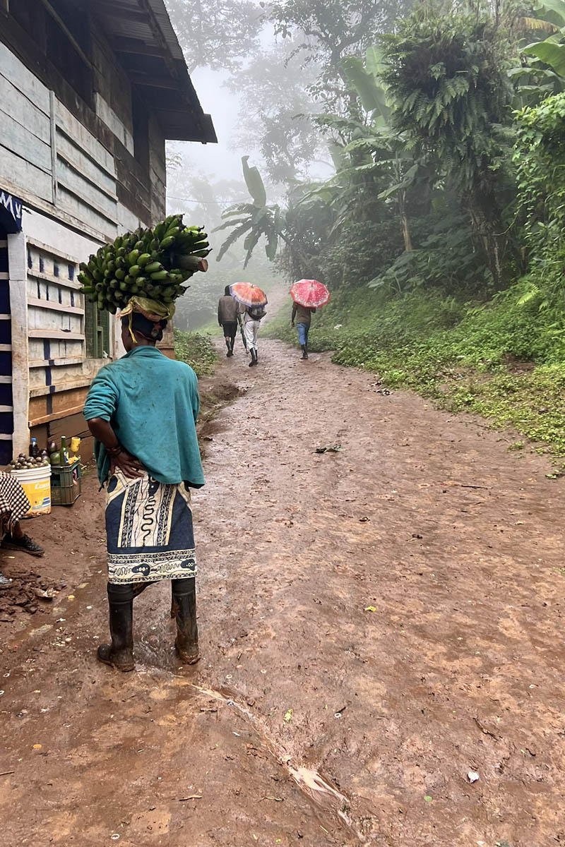 Дорога к водопаду. Источник: личный архив Марии Аккужиной