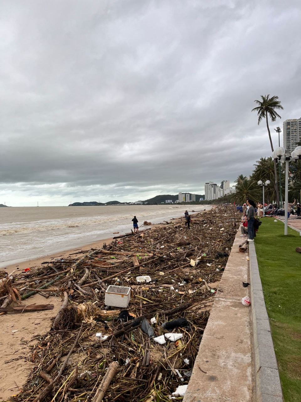 Обстановка в Нячанге. Фотографиями делятся участники сообщества TravelAsk. Источник: t.me/+5S8776eyRX02NDZi