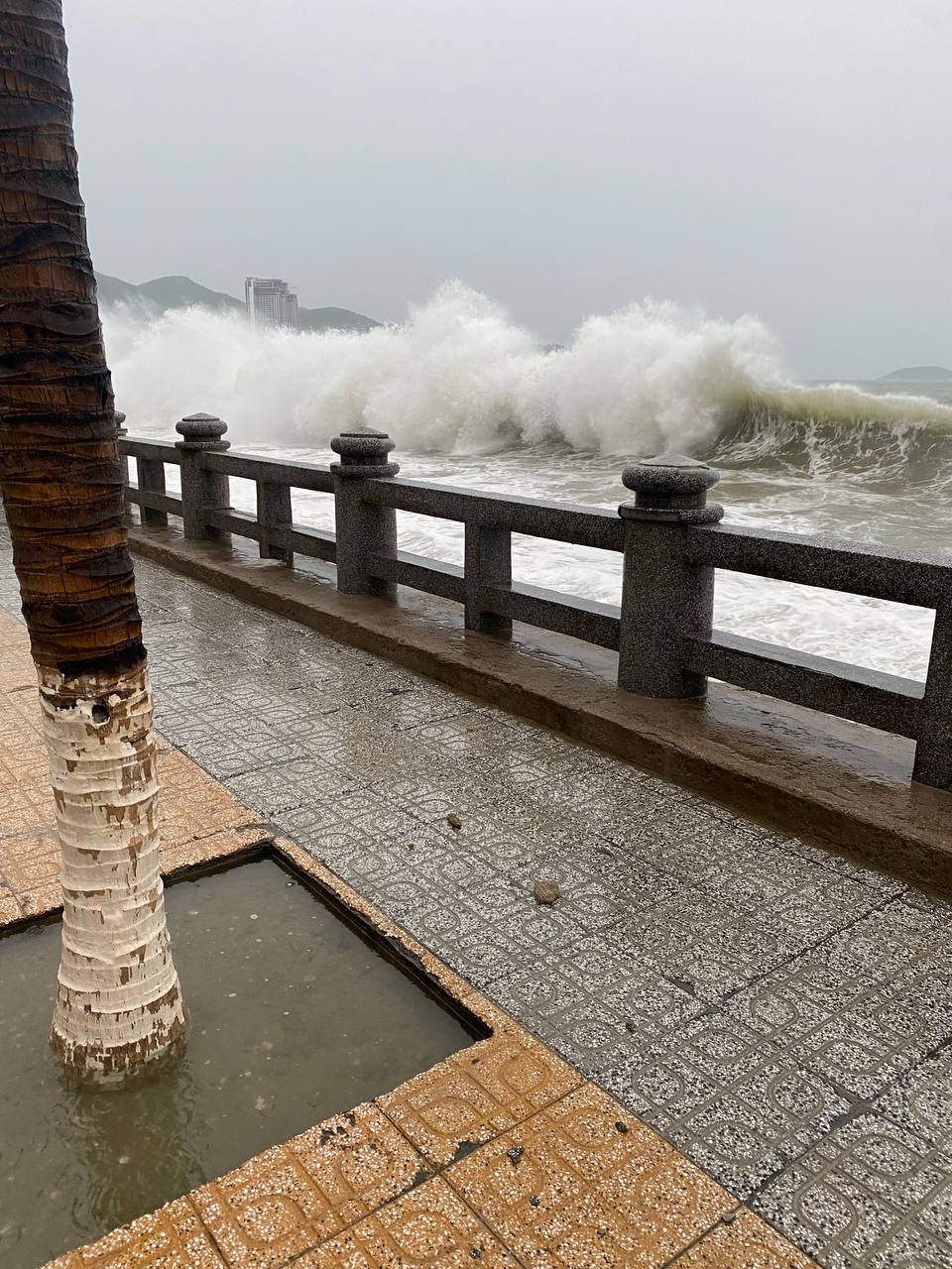 Обстановка в Нячанге. Фотографиями делятся участники сообщества TravelAsk. Источник: t.me/+5S8776eyRX02NDZi