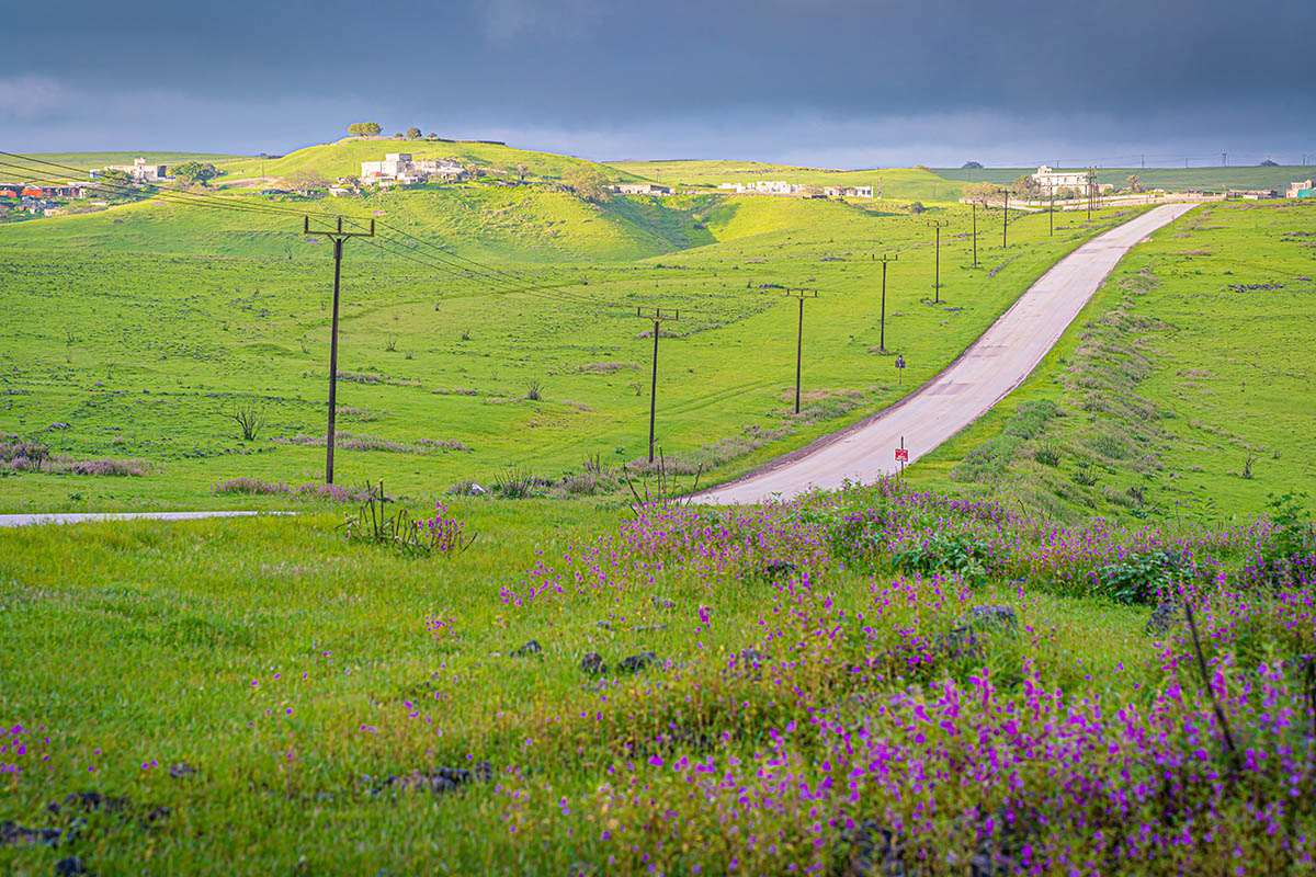 Сезон хариф. Источник: muzahid karim / Shutterstock / FOTODOM