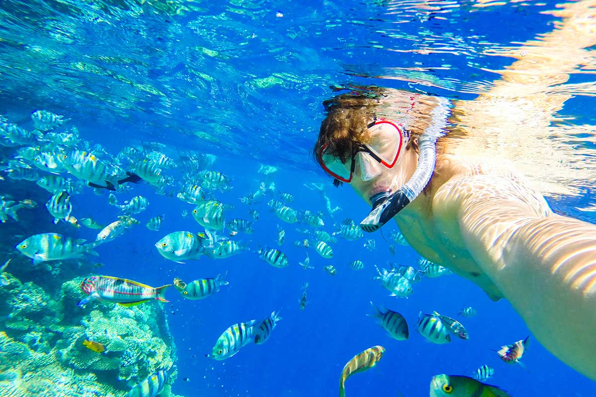 Снорклинг в шарм-эш-Шейхе. Источник: Liukov / Shutterstock / FOTODOM