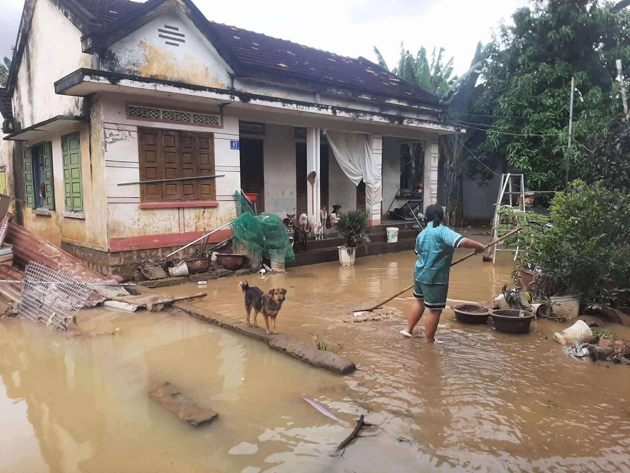 Обстановка в Нячанге. Фотографиями делятся участники сообщества TravelAsk. Источник: t.me/+5S8776eyRX02NDZi