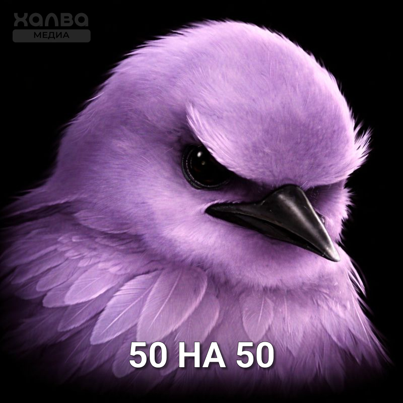 Источник: нейросеть