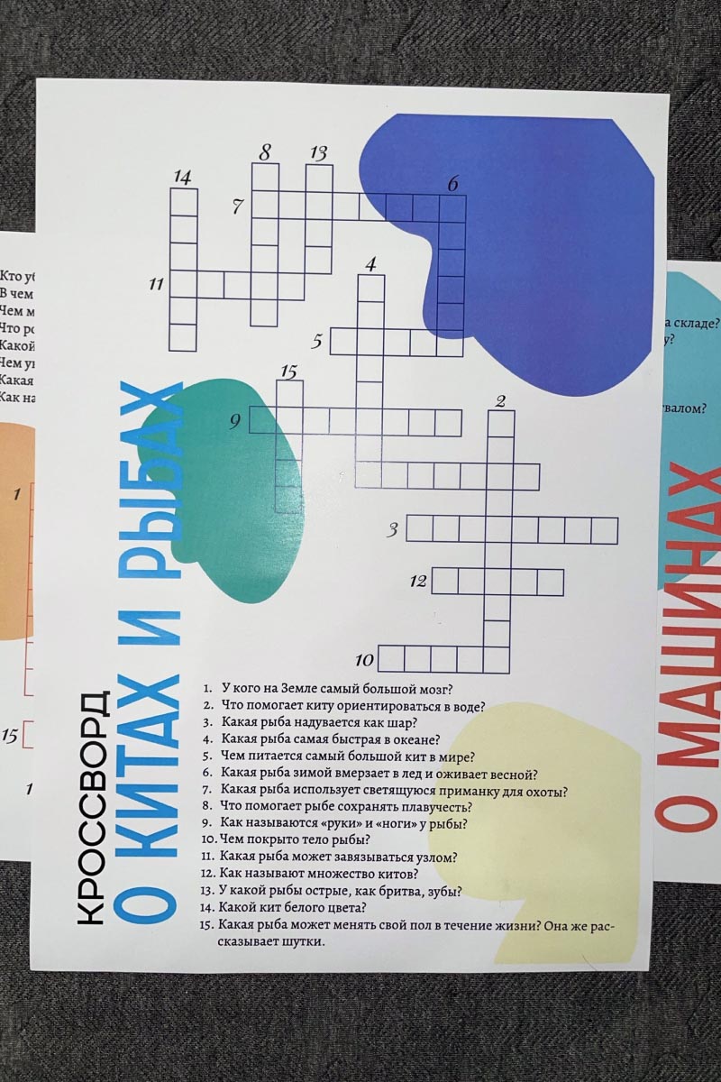 Для старшего. Источник: личный архив Ксении Чеглаковой