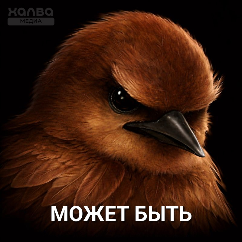 Источник: нейросеть