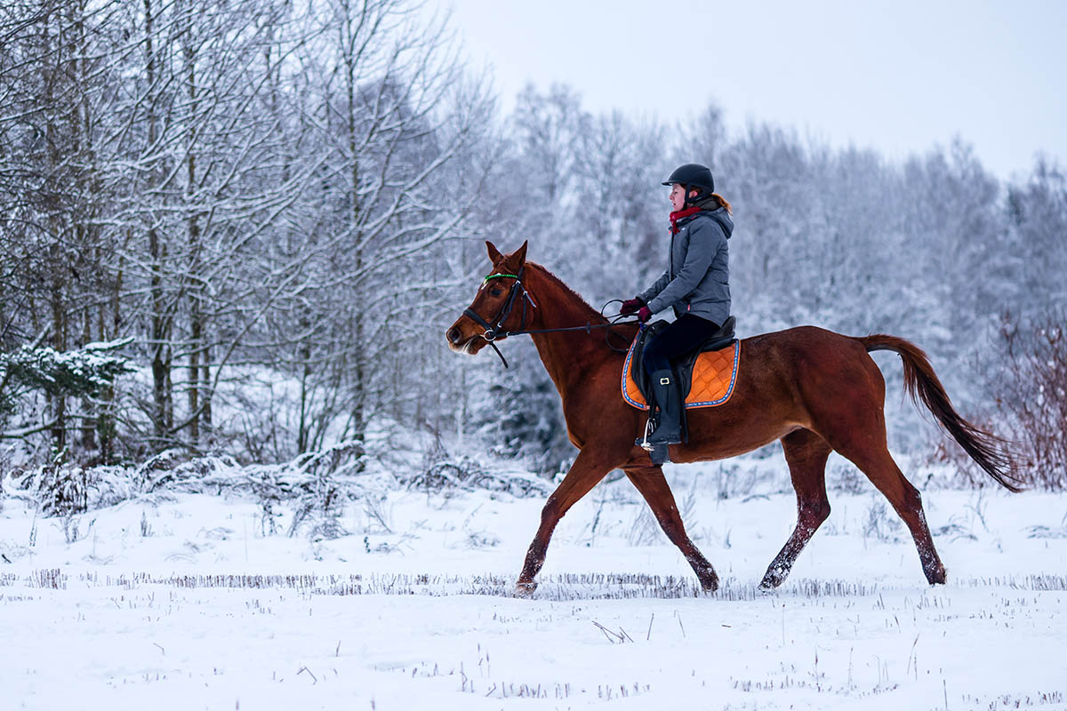 Покататься на лошади в снег — незабываемое волшебное впечатление родом из детской сказки. Источник: nikolaskus / Shutterstock / FOTODOM