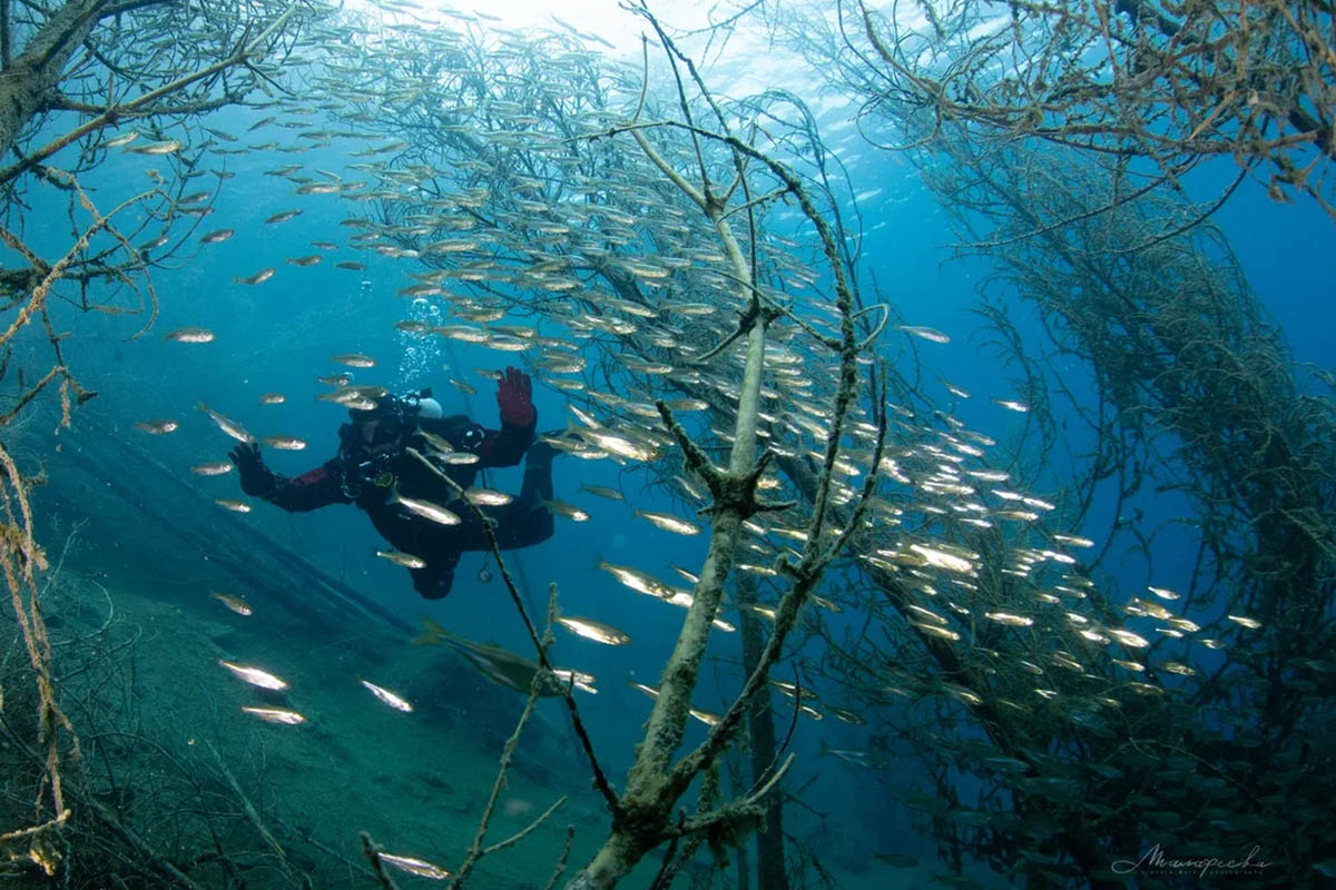 На дне много интересного: корабли, техника. Источник: личный архив Александра Самосадко