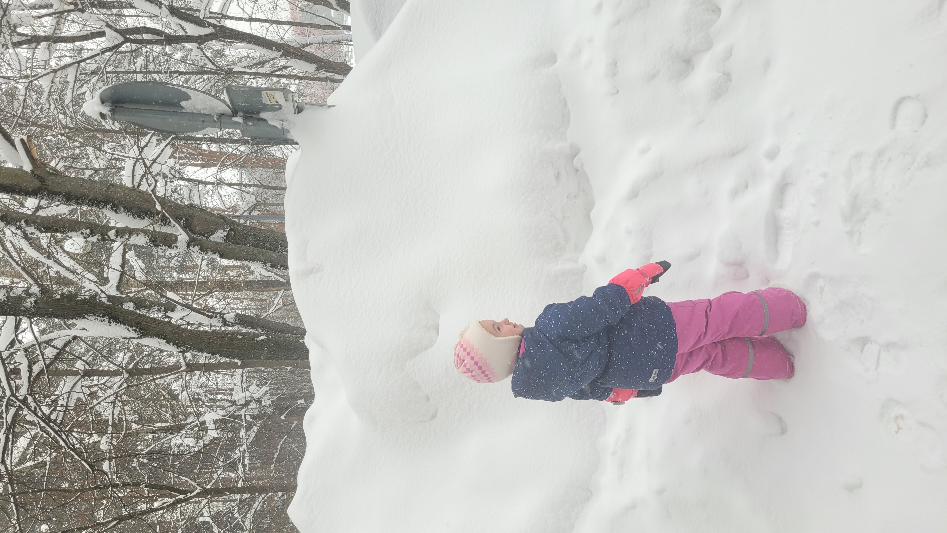 Обстановка в одном из московских дворов. Источник: архив редакции «ХалваМедиа»
