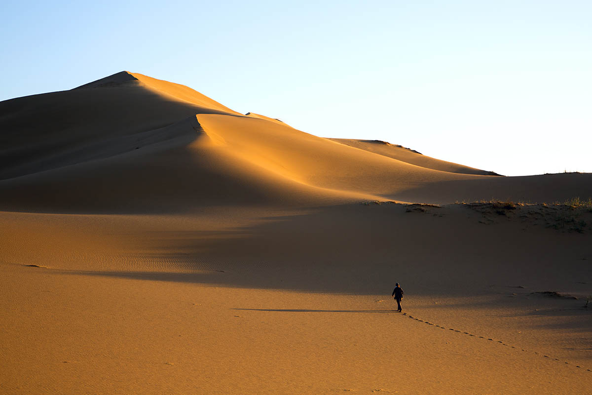 Бархан Сарыкум. Источник: Anna Kostenko / Shutterstock / FOTODOM