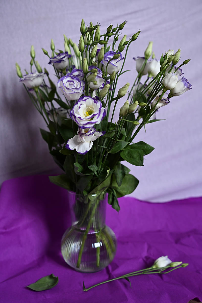 Кустовые цветы, например лизиантусы, придают букету воздушность даже при небольшом количестве стеблей. Источник: FlyGe / Shutterstock / FOTODOM