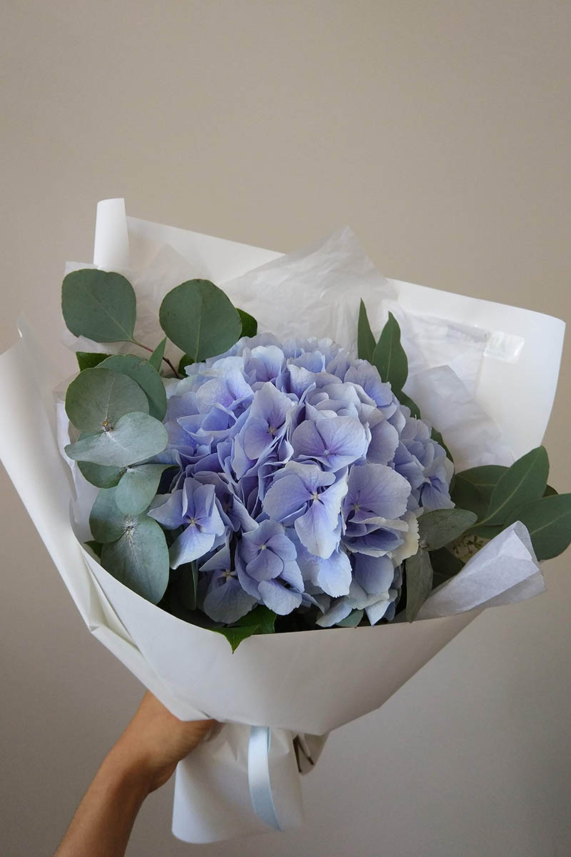 Даже одна гортензия смотрится эффектно. Источник: Rosie Mak / Shutterstock / FOTODOM