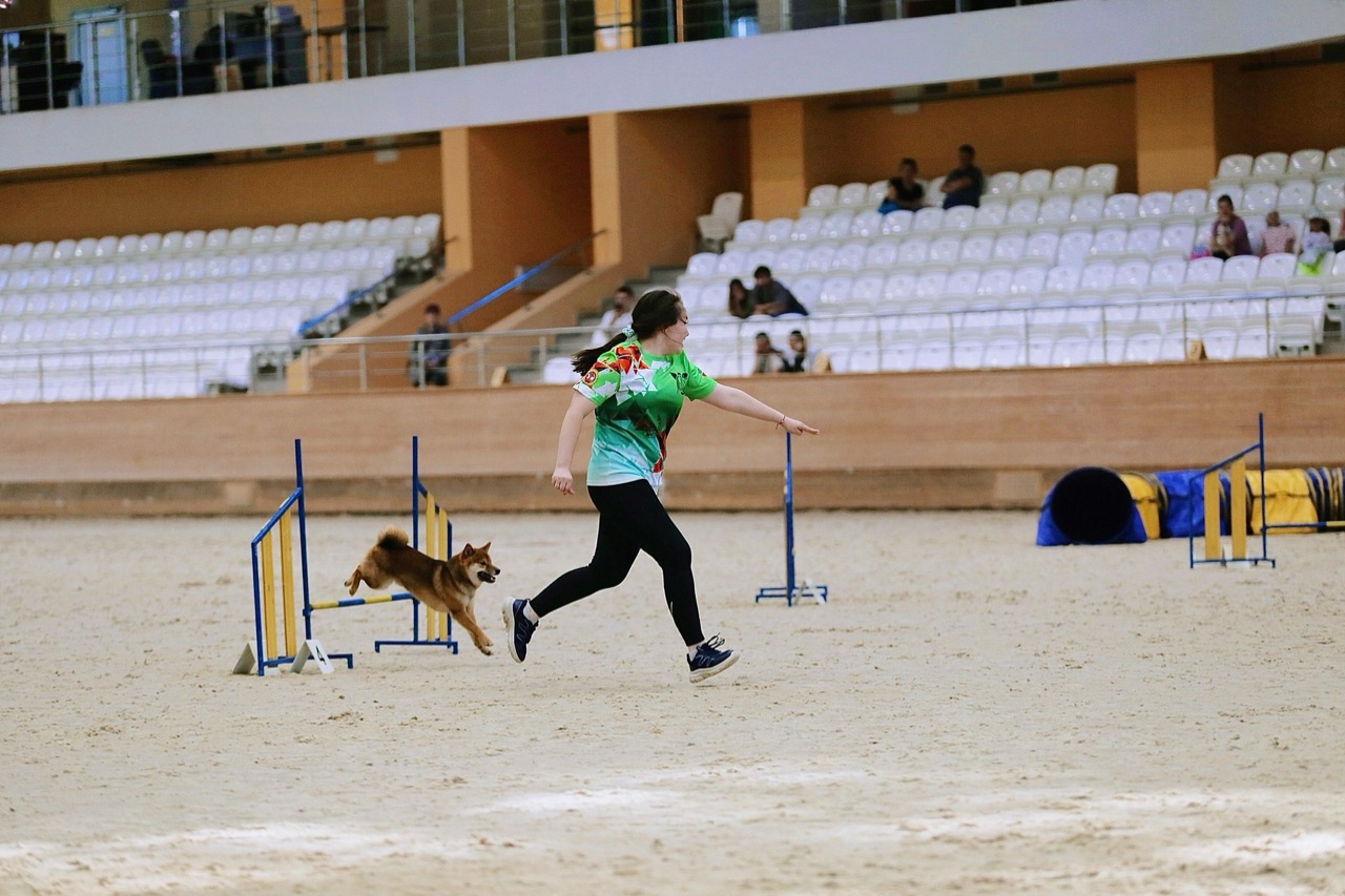Когда Рич настроится на соревновательный лад, все получается. Источник: личный архив Ильнары Минниахметовой