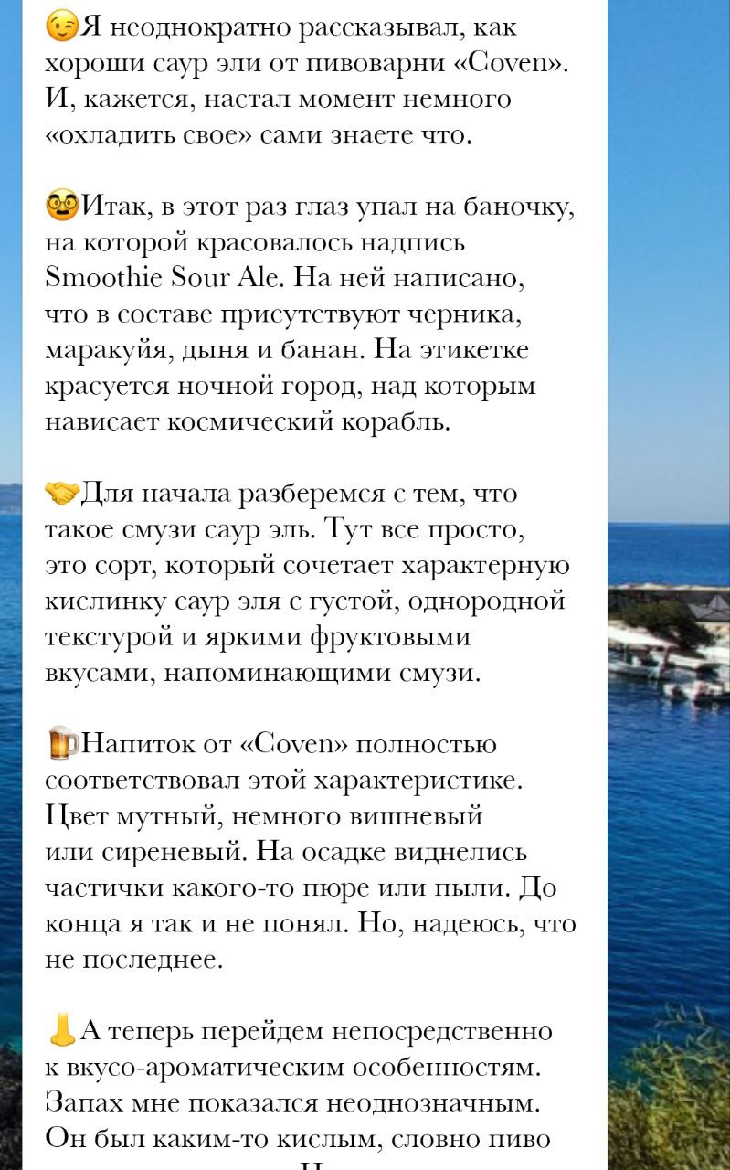 Пример обзора. Источник: личный архив Антона Васильченко