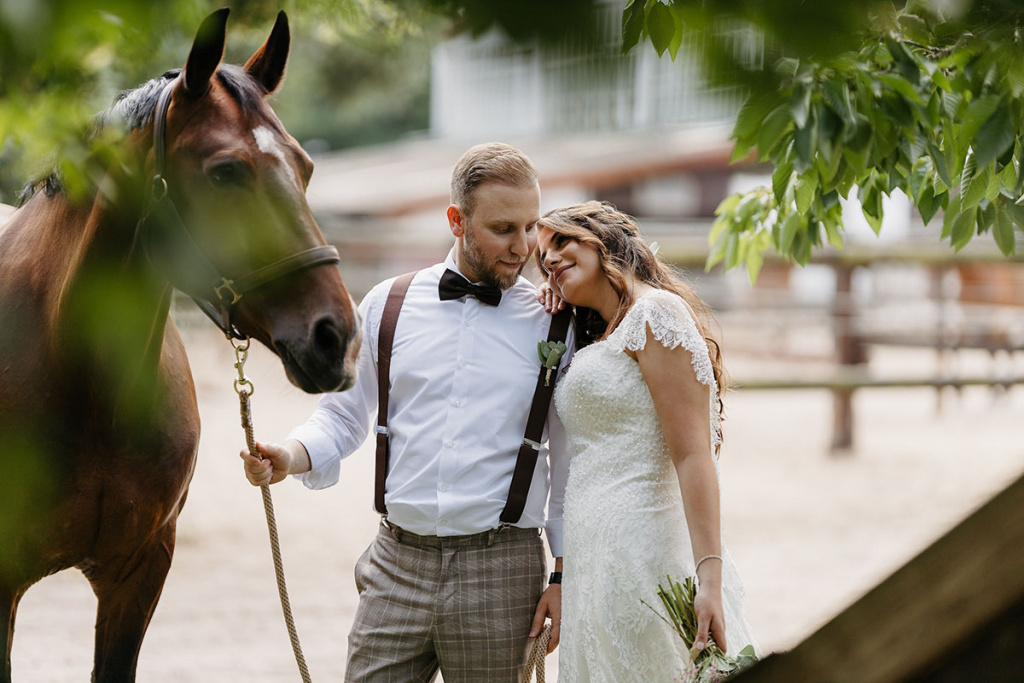 свадьба конь лошадь