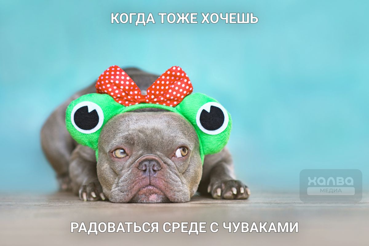 среда чюваки