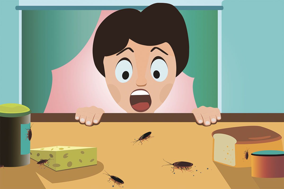 Как избавиться от тараканов навсегда?