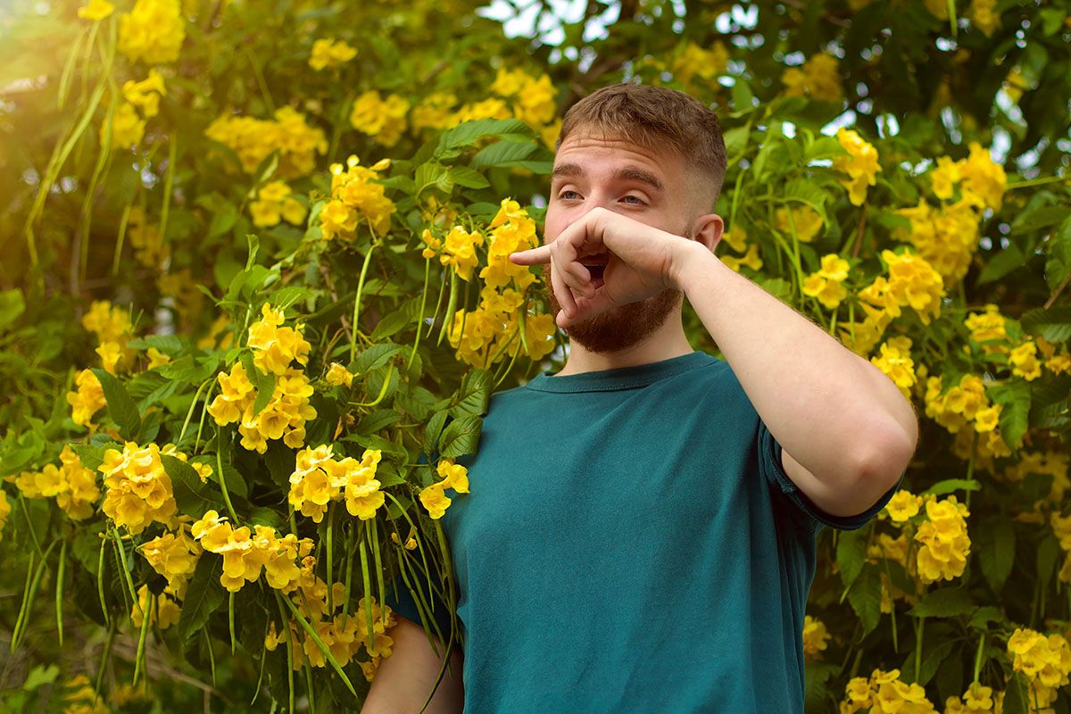 что значит если чешется нос