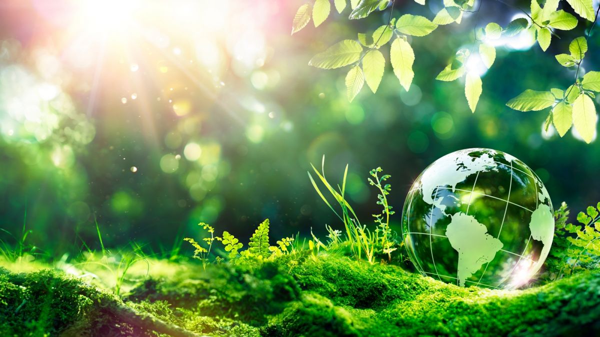 Когда отмечают Международный день Земли и какие у него традиции