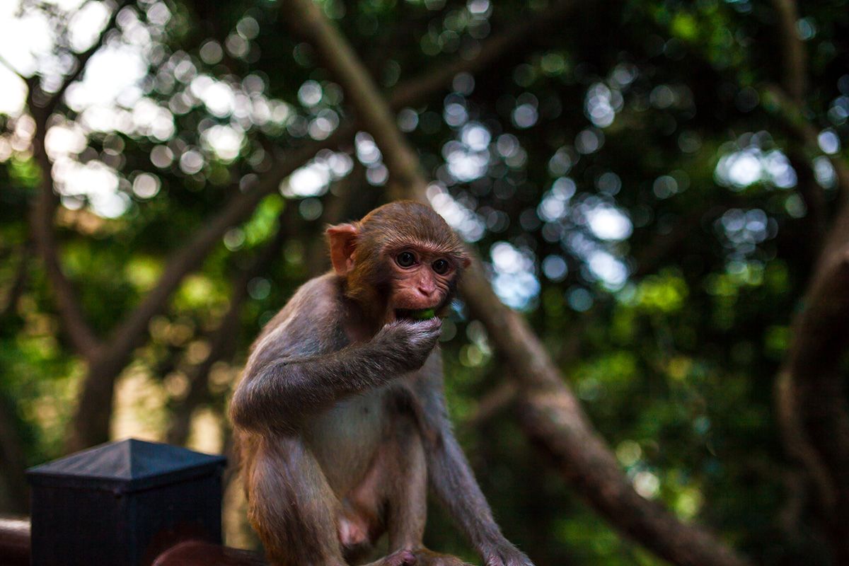 Хайнань остров