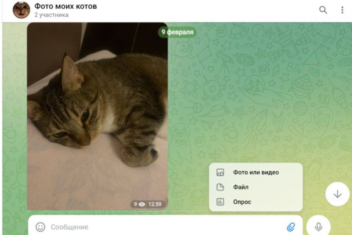 опрос в тг как сделать